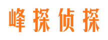 长清市调查公司